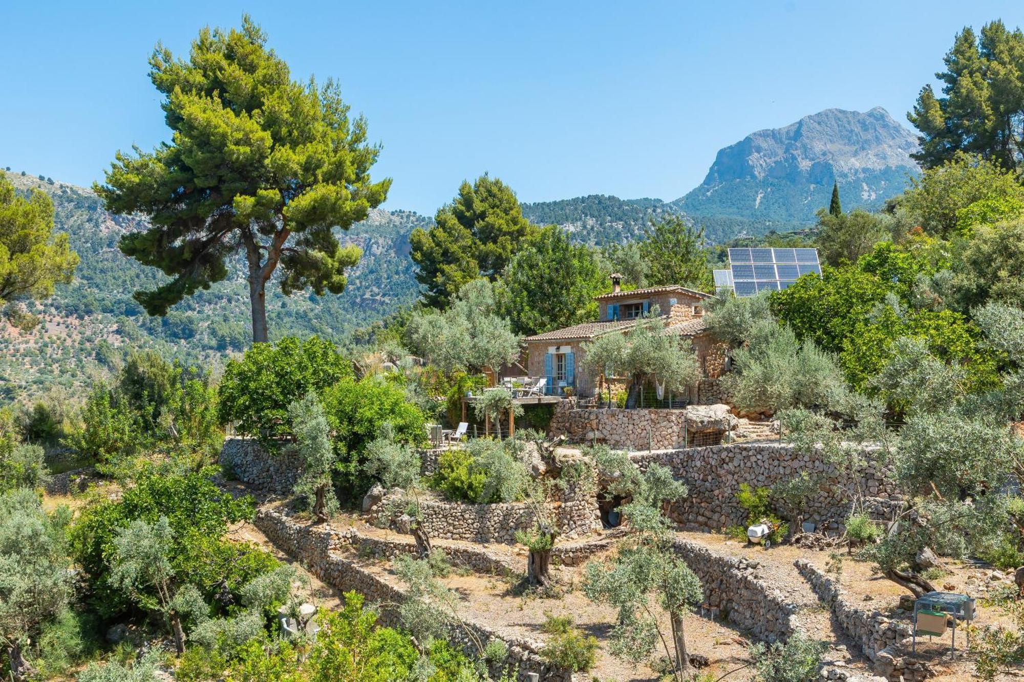 Els Abats Villa *